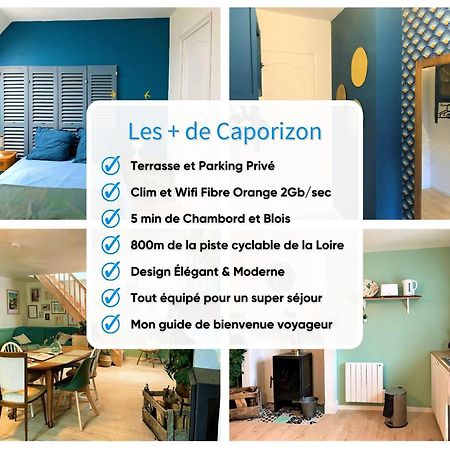 Caporizon-Le Coffre Fort-Le Clos De Chambord Villa Saint-Claude-de-Diray Eksteriør bilde